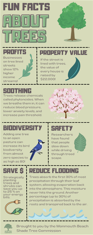 Tree Fun Facts