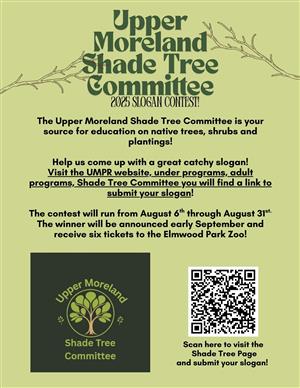 Shade Tree