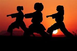 Silhouette of girls practicing karate kata together at sunset